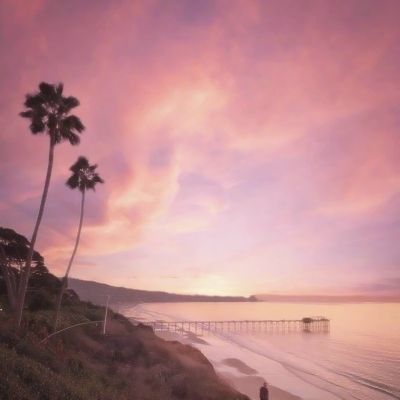 爱游戏appapp下载