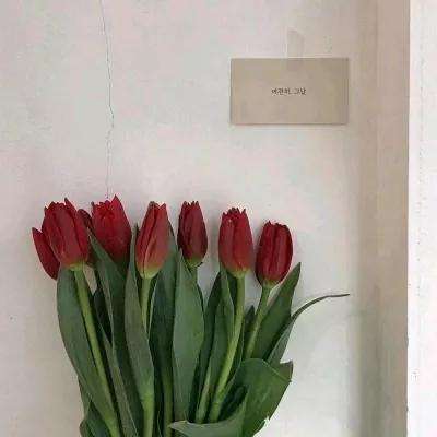 华体会登录app下载